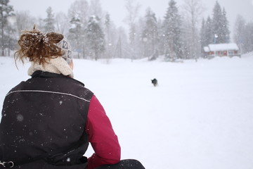 German shepard puppy in snow