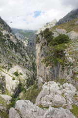 The Cares Gorge (Rio Cares) and Cares Trail (Ruta del Cares), Picos de Europa, Asturias, Spain.
