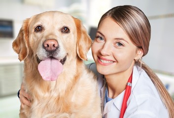 Attractive young female doctor with funny dog patient