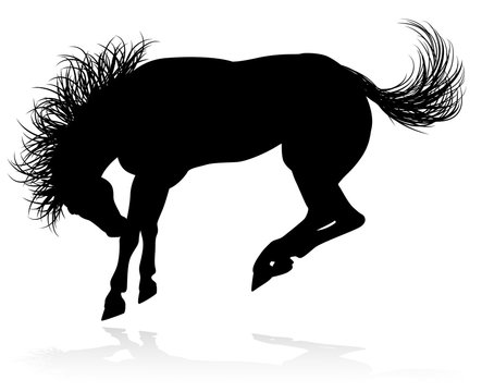 A high quality very detailed horse in silhouette