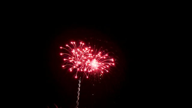 Closeup amazing firework show for celebration on black sky at night.