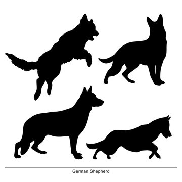 German Shepherd breed dog. Vector silhouette of the dog