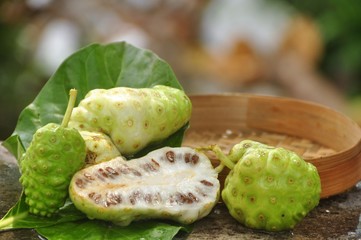 Noni Fruit   (Morinda citrifolia) 