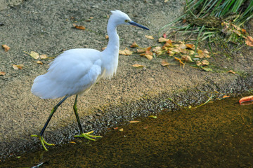 公園 16
