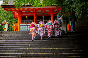 group of japanese woman wearing tradition kimono clothes