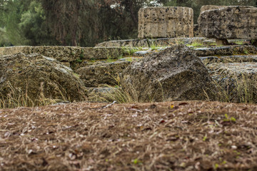 Roman antique architecture stone ruins object of columns buildings and decoration elements in park outdoor museum space 