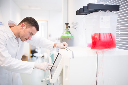 Scientist working in lab