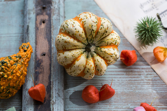 Autumnal decoration with two ornamental pumpkins and Chinese lanterns