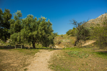 south park outdoor natural environment with bench under tree oasis place in dry summer warm weather environment highland country side space 