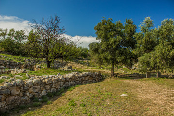 south park outdoor natural environment with bench under tree oasis place in dry summer warm weather environment highland country side space 