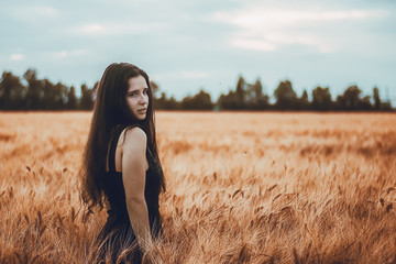 elegant woman sitting on cereals field at sunset with bokeh effect