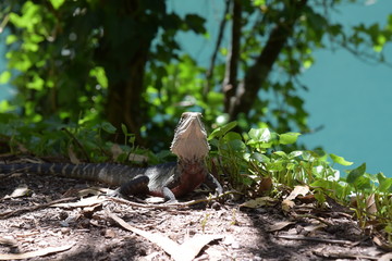 オーストラリアの大自然