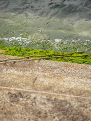Closeup of stone stairs at the edge of a pier, with algae and ropes. Miyajima Island, Hiroshima, Japan. Travel and nature.