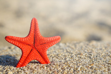 Red starfish pinned on sand at the beach. Blurred background