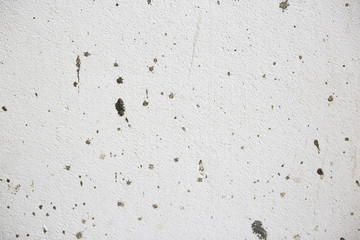 rough texture of a old gray white wall.