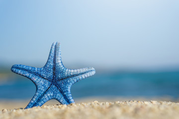 Fototapeta na wymiar Blue starfish pinned on sand at the beach. Blue sea on background