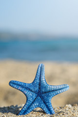 Blue starfish pinned on sand at the beach. Blue sea on background