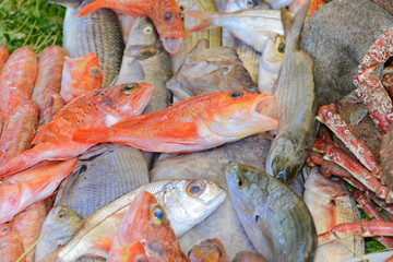 Meeresfrüchte, Fische, Fischrestaurant, Hafen, Essaouira, Marokko, Nordafrika, Afrika
