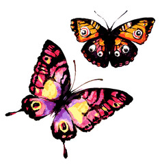 beautiful pink butterfly,watercolor,isolated on a white