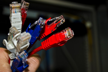 Network cables of different colors compressed in the administrator's hand