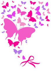 beautiful pink butterflies, isolated  on a white