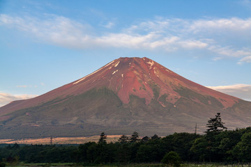 Fototapeta premium 夏の花の都公園から赤富士