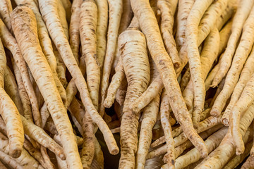 set of long beige root coriander many fruits base vegetable basis ingredients vegan soup healthy...
