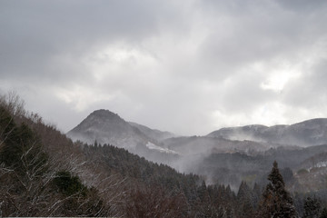 Pine trees cover the gray snowy mountains of Mt. Aso, Southern Kumamoto, on a cloudy day. Kyushu, Japan. Travel and nature.