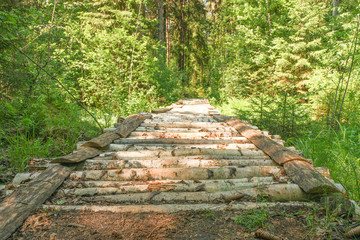 bridge of birch trunks over a forest stream going deep into the forest