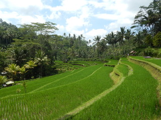 Bali, Indonesia