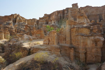 Fototapeta premium Tulin