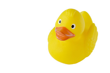 Isolated yellow toy rubber duck on a white background.