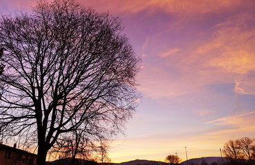 Visions walking along the Arno river, near Florence, at dawn