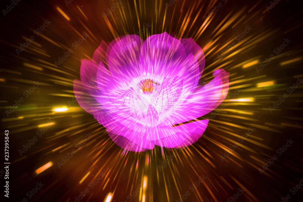 Canvas Prints abstract digital rose in a speeding beams of light background