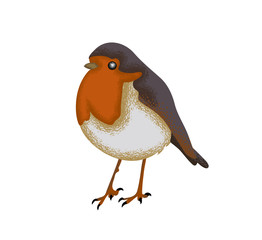 Textured style illustration of a cute litte robin on a transparent background.