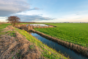 Fototapeta na wymiar Recently cleaned ditch in a Dutch polder