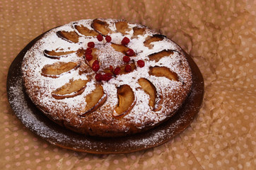 Pumpkin Pie with Icing Sugar and Apple Pieces. Decorated with viburnum berries. Candid.