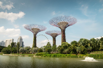 Gardens By the Bay Singapour