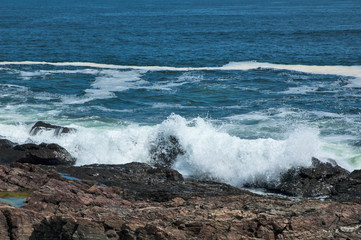 Surf & Rocks