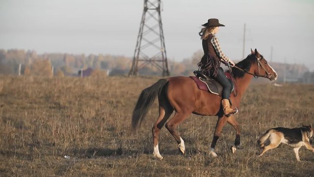 Beautiful woman riding horse at sunrise field. Young cowgirl at brown horse with dog in slow motion outdoors