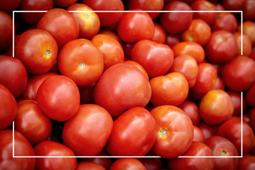 Group of fresh tomatoes organic vegetables background in market