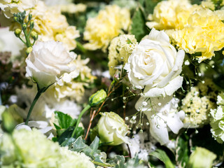 rose flowers decorations in love valentine day