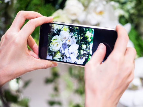 Take photo beautiful flower by smartphone