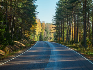 Obraz premium Fall colors and a beautiful autumn road in Finland.