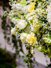 colorful flowers decorations in garden