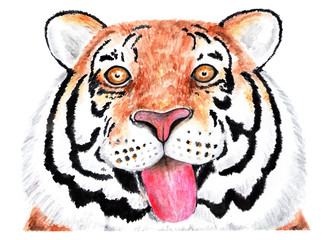 Portrait of tiger. Watercolor illustration.
Tiger shows his tongue on camera. Happy tiger. Illustration for design, decor.