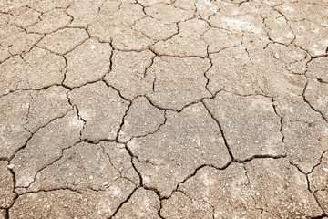 crack soil texture in summer. from global climate