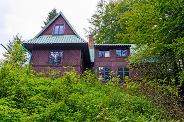 Old Wooden House in the Forest