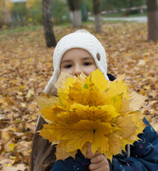 Autumn portrait of beautiful little girl with bouquet of yellow leaves