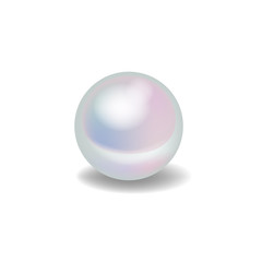 Realistic vector white pearl.